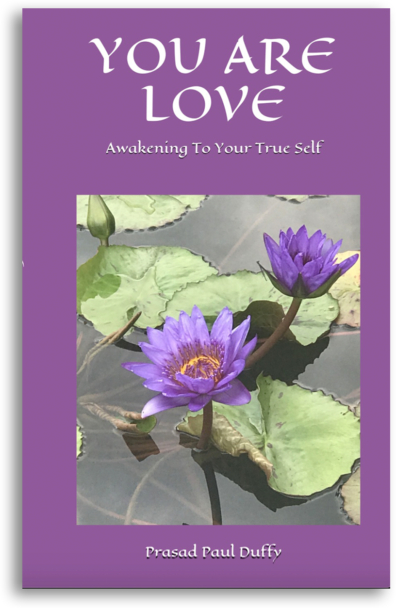 Cover of You Are Love